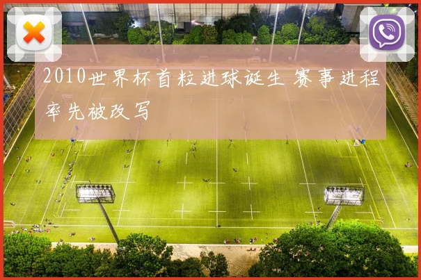 2010世界杯首粒进球诞生 赛事进程率先被改写